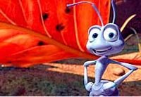 pic for Bugs Life